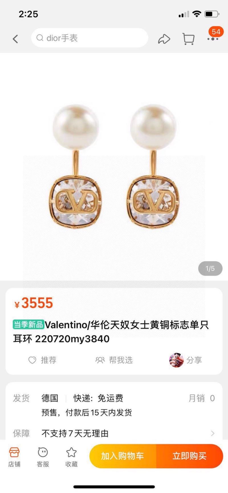 Valentino Earrings